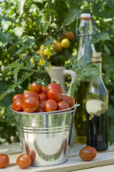 Bahçede küçük bir metal kova kırmızı kiraz domates.