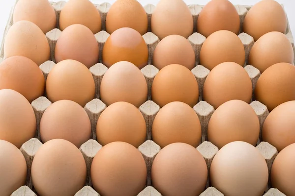 段ボールのトレイに鶏の卵の背景. — ストック写真