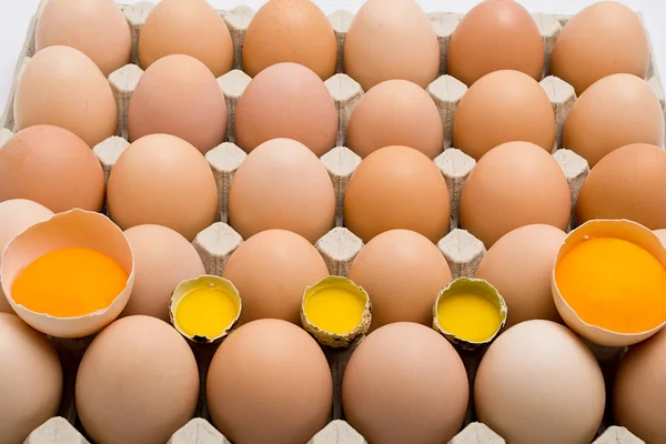 Karton bir tepsi içinde arka plan tavuk ve Bıldırcın yumurta.