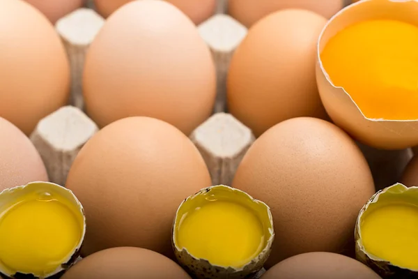 Karton bir tepsi içinde arka plan tavuk ve Bıldırcın yumurta.