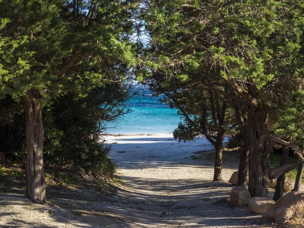 Sardunya 'daki güzel Capriccioli plajı. — Stok fotoğraf