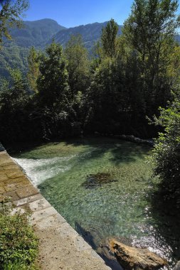 Ağaçların arasında bir nehir