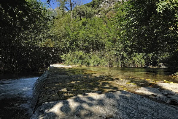 Une rivière parmi les arbres — Photo