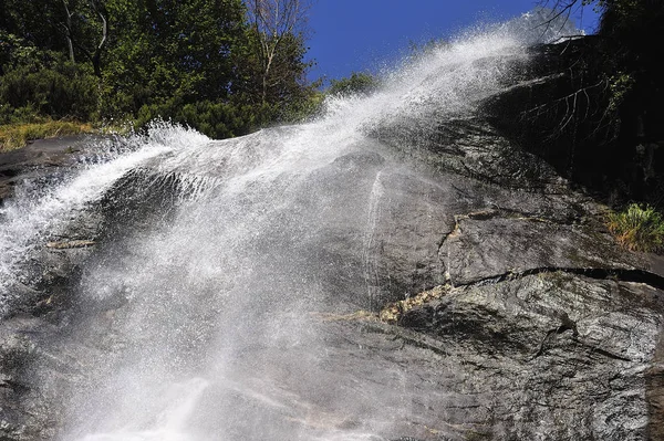 Cascade au milieu de la forêt — Photo