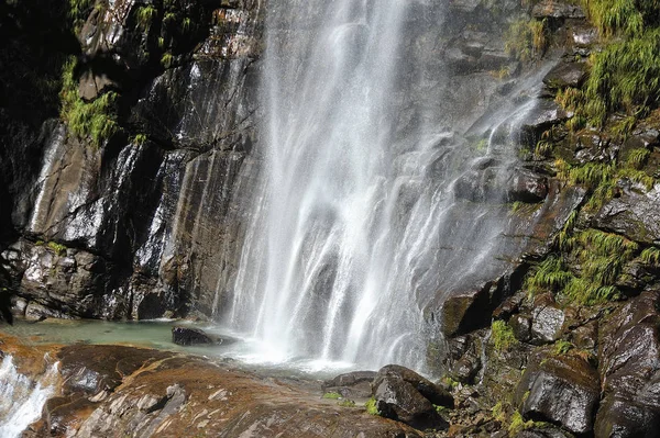 Cascade au milieu de la forêt — Photo