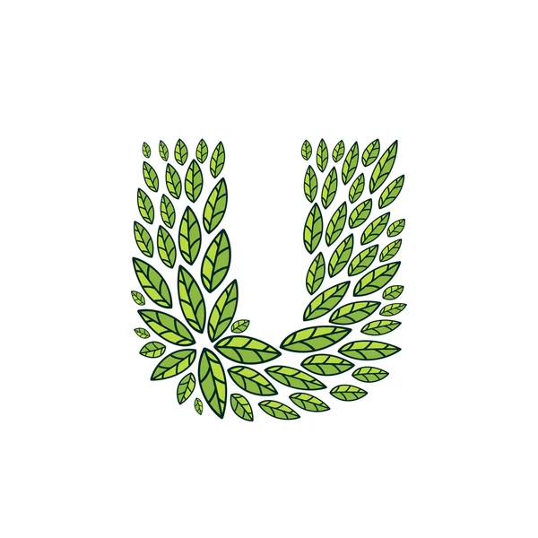 Logotipo de la letra U formado por el patrón vintage, hojas verdes línea . — Vector de stock