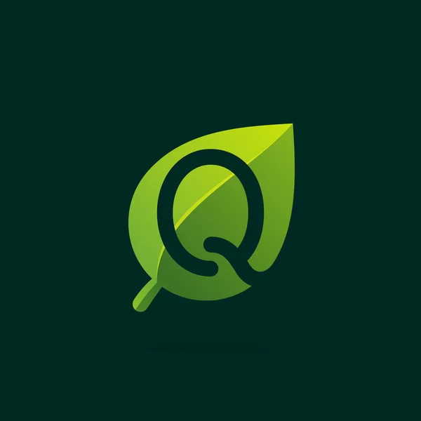 Q 녹색 잎에 문자 로고. — 스톡 벡터