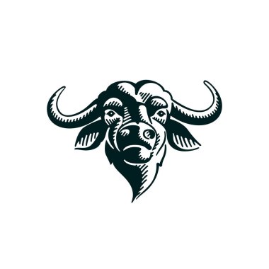 Beyaz arka plan üzerinde Vintage Buffalo illüstrasyon. 