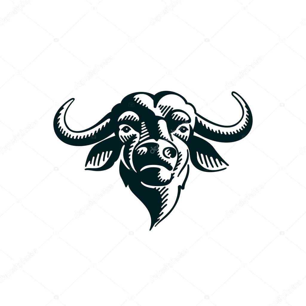 Vector icon design template for your logo, poster, sportswear etc.