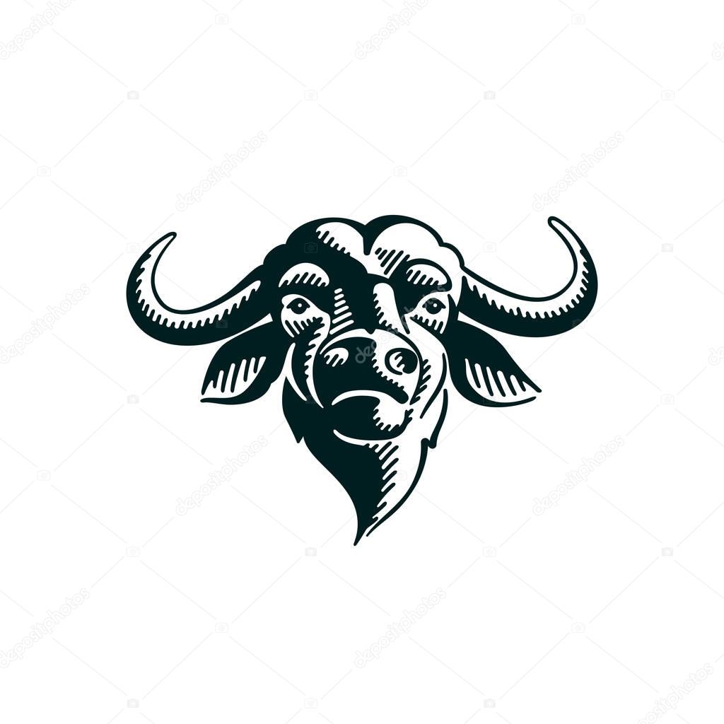 Vintage Buffalo illustration on white background. 