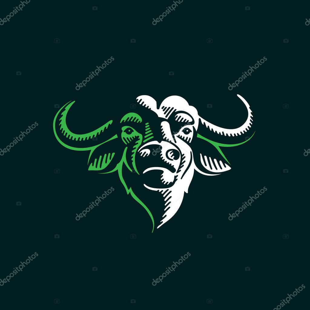 Vector icon design template for your logo, poster, sportswear etc.