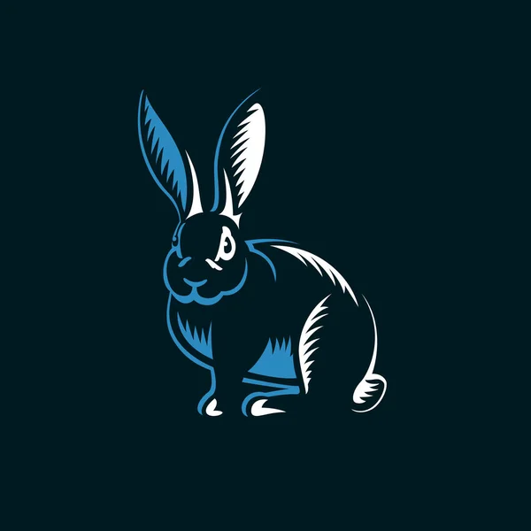 Rabbit illustration on black background. — Stock Vector