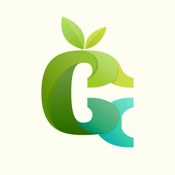 Lettre tourbillonnante G logo avec feuilles vertes . — Image vectorielle