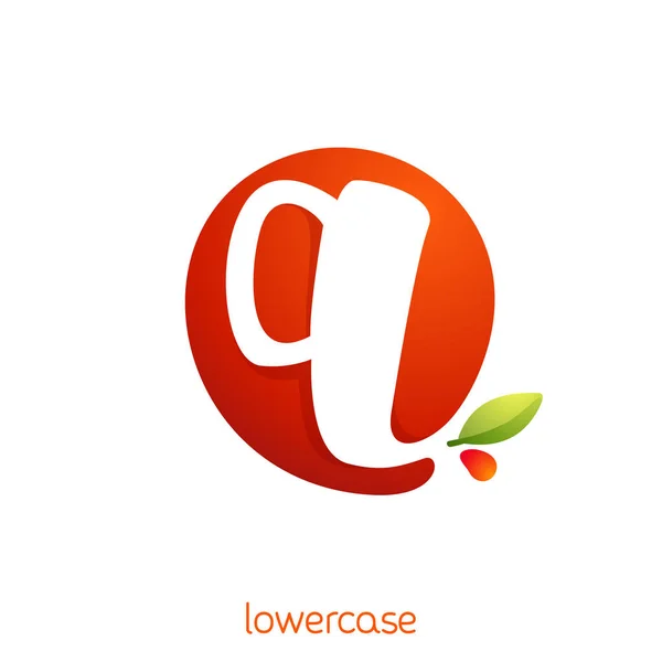 Lowercase letter q logo in fresh juice splash with green leaf. — ストックベクタ
