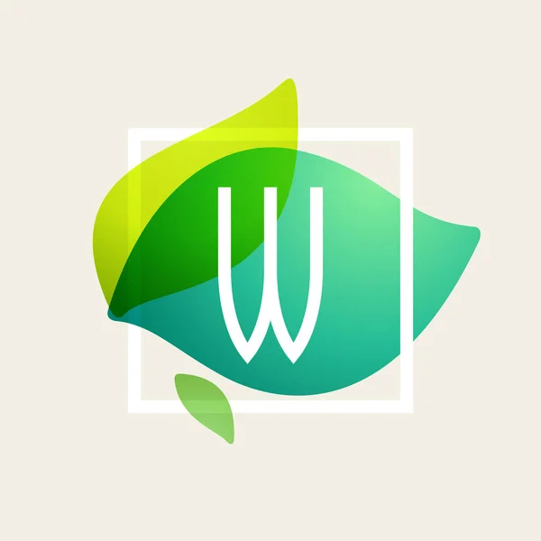 W letter logo in square frame at green leaves watercolor backgro — Stock Vector