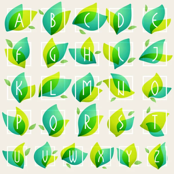 Alfabeto in cornici quadrate a foglie verdi sfondo acquerello . — Vettoriale Stock