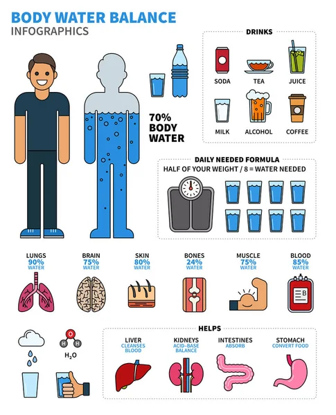 Infografías del agua corporal con órganos humanos, bebidas y cálculo — Vector de stock