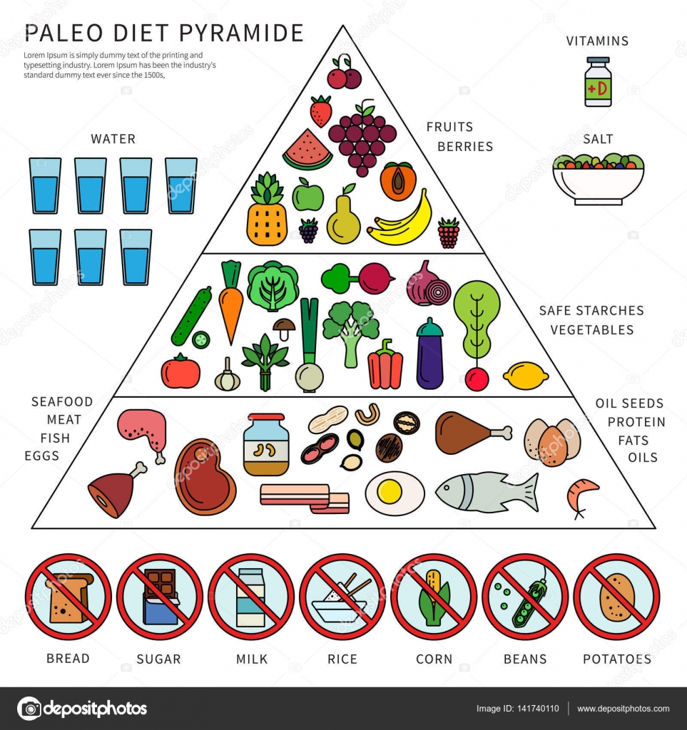 Paleo dieet piramide — Stockvector © mountainbrothers