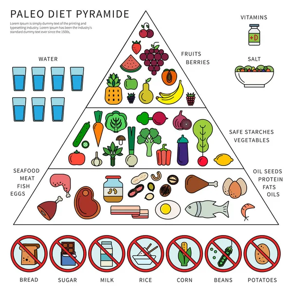 Dieta Paleo Pirámide — Vector de stock