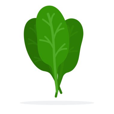 ıspanak yaprakları