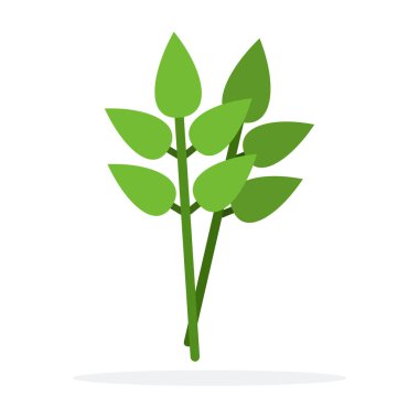 Saha yaprağı vektörü izole edildi