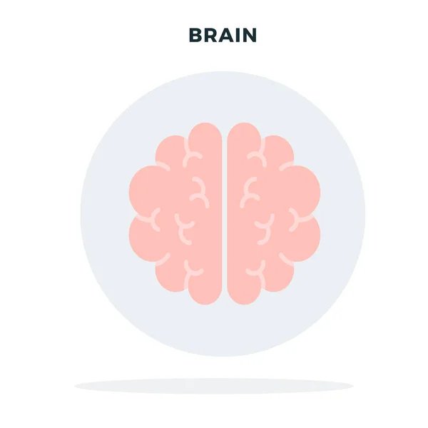 Human brain in a gray circle vector flat isolated — 스톡 벡터