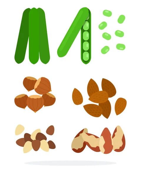 Dosettes pois, amandes, noisettes, noix du Brésil, noix de macadamia — Image vectorielle