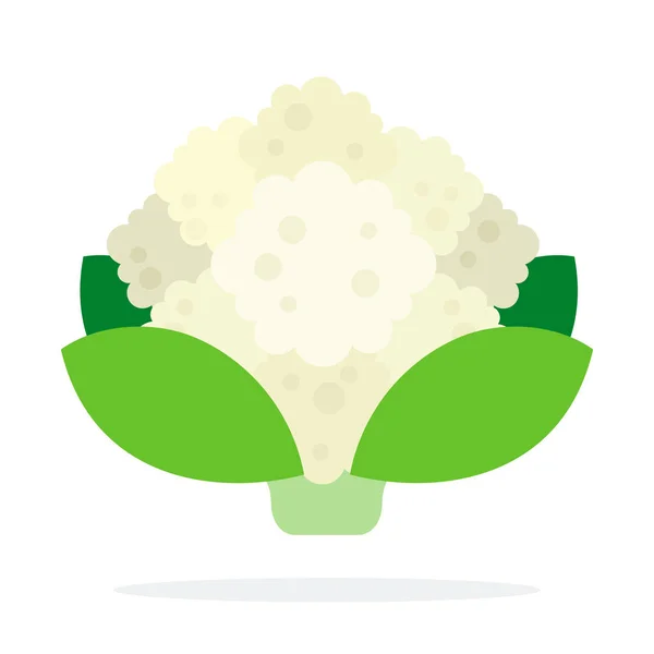 Bunch of cauliflower — 스톡 벡터