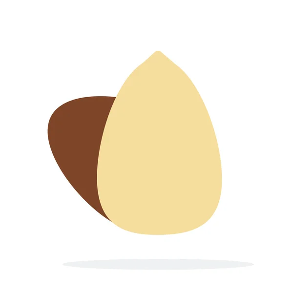 Two Macadamia nuts vertically flat isolated — 스톡 벡터