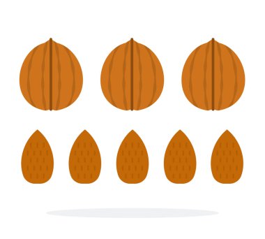 Ceviz ve badem bir kabukta ve sıra sıra izole edilmiş.