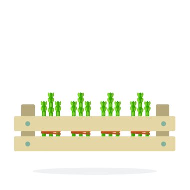 Ahşap bir kutuda kuşkonmaz.