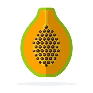 Yarım papaya dikey vektör düzlüğü izole