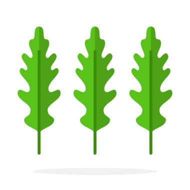 Üç yaprak roka yalıtılmış.