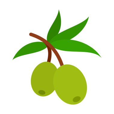 Yalıtılmış zeytin vektörü dalı