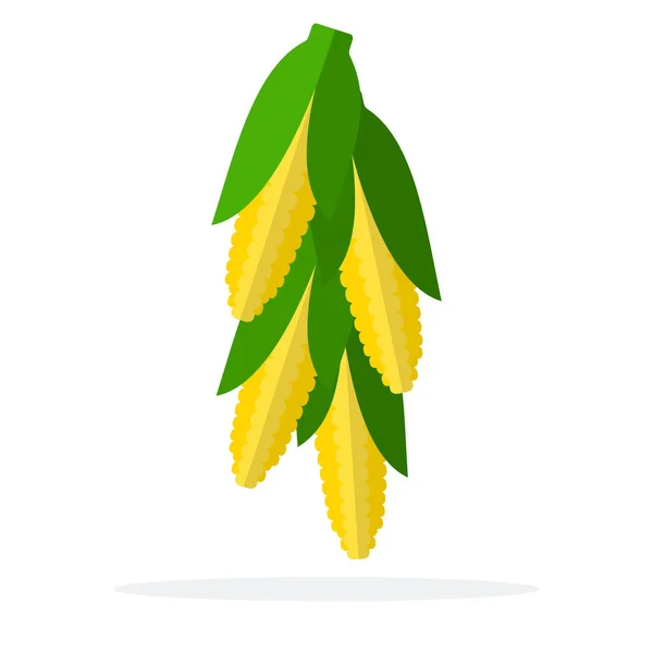 Сопутствующие кукурузные початки — стоковый вектор