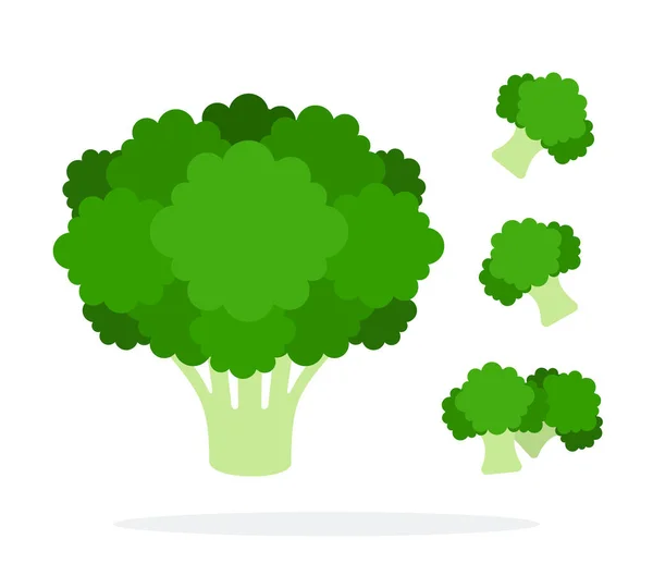 Bush broccoli och delar av broccoli platt isolerad — Stock vektor