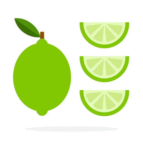 Whole lime vertically and three wedges of lime vector flat isolated — 스톡 벡터