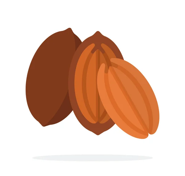 Pecan in the shell, half pecan and the kernel of the pecan flat isolated — Stock Vector