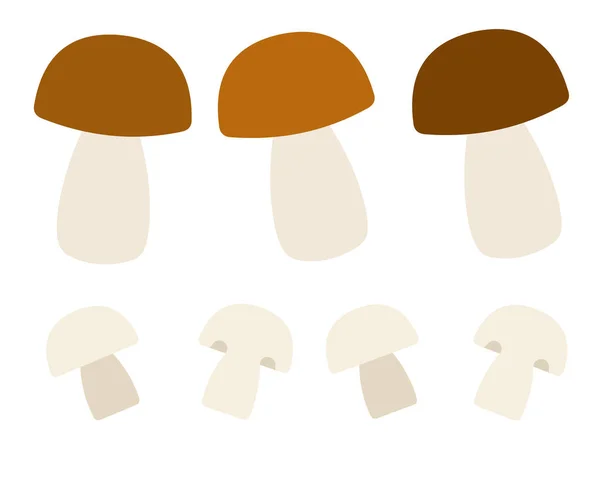 Białe grzyby i champignons płaski wektor ikony izolowane — Wektor stockowy