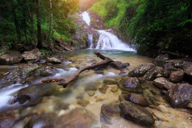 yağışlı sezon sırasında harika şelale