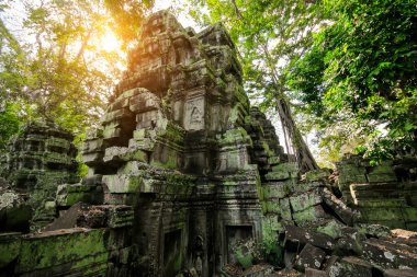 Ta Prohm Temple, Angkor, Cambodia clipart