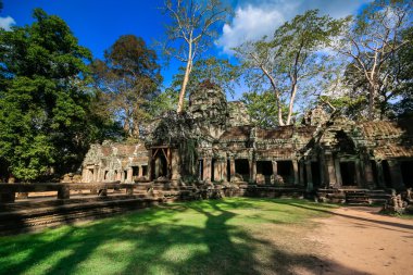 Ta Prohm Tapınağı, Angkor, Kamboçya