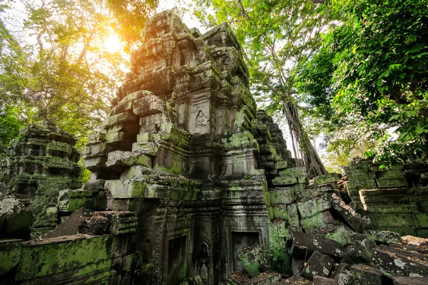 Ta Prohm templom, Angkor, Kambodzsa — Stock Fotó