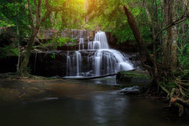 Tayland 'da Şelale