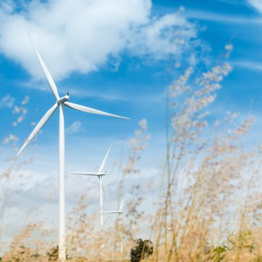 elektrik üreten Rüzgar türbinleri