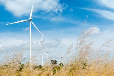 elektrik üreten Rüzgar türbinleri