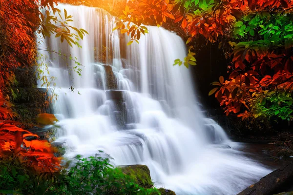 waterfall in rain forest
