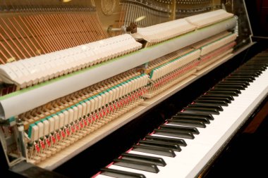 Piyano, beyaz ve siyah klavye kadar kapatın