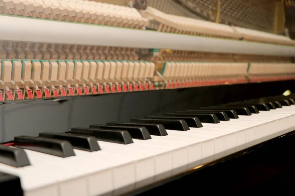 Close up piano, white and black keyboard — Stock Photo, Image