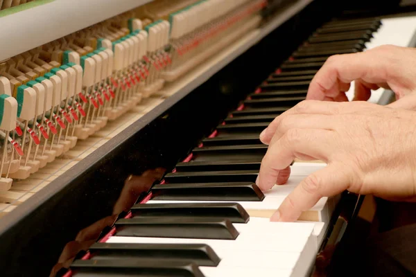 Piyano, beyaz ve siyah klavye kadar kapatın